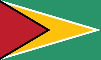 Carexcess Guyana flag