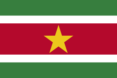 Carexcess Suriname flag