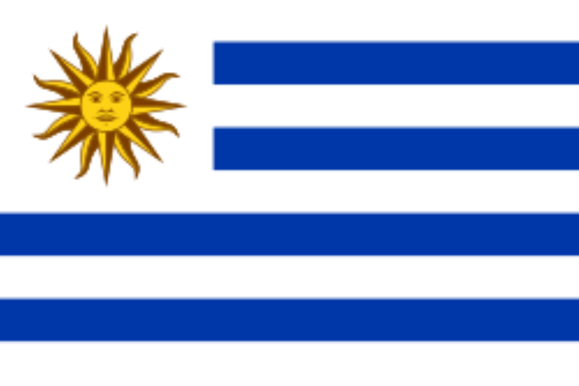 Carexcess Uruguay flag